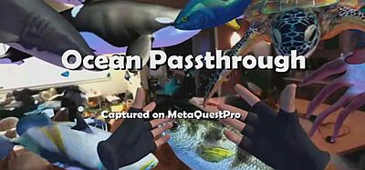 Oculus Quest 游戏《海洋世界》Ocean Passthrough